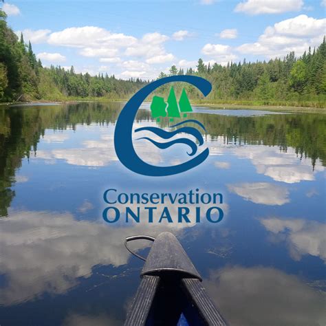 ibao login|ibao courses 2022.